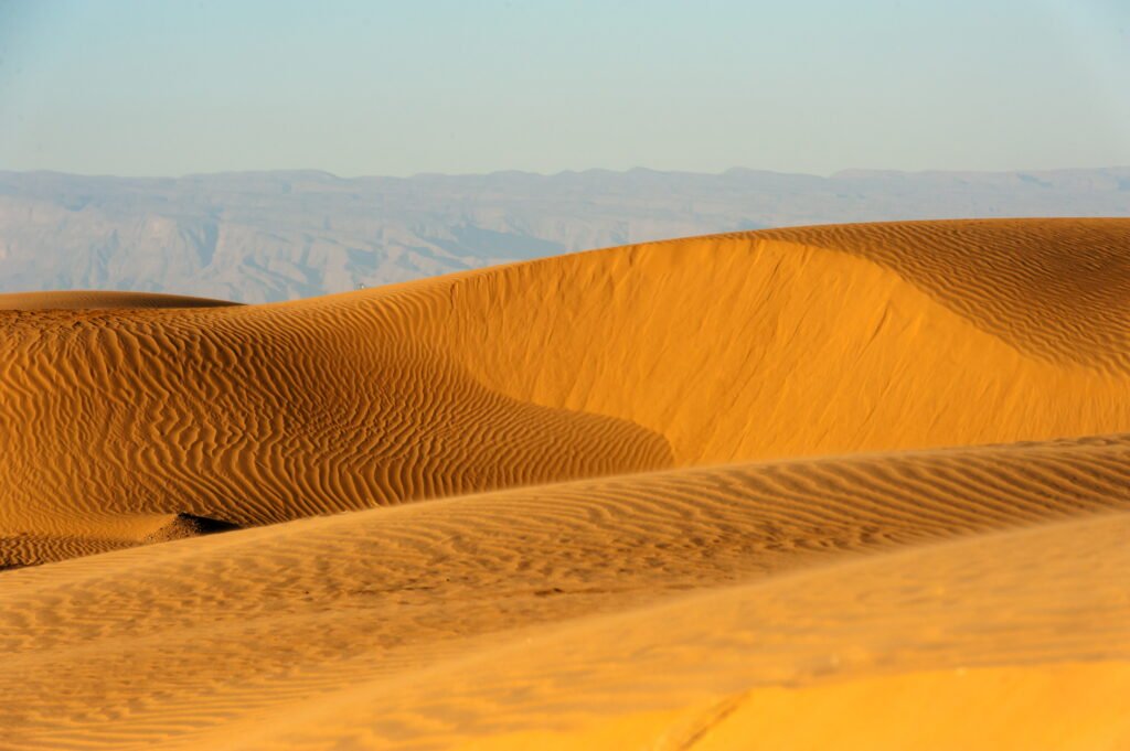 Travel with us – discover new horizons